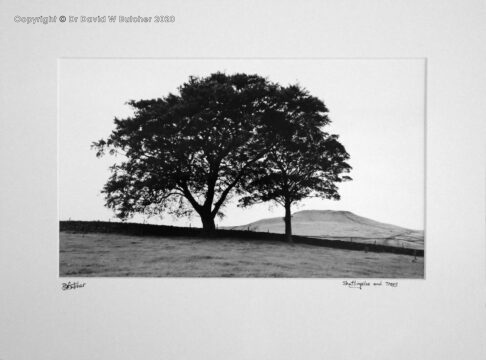 Shutlingsloe with trees in the foreground, Peak District between Buxton and Macclesfield