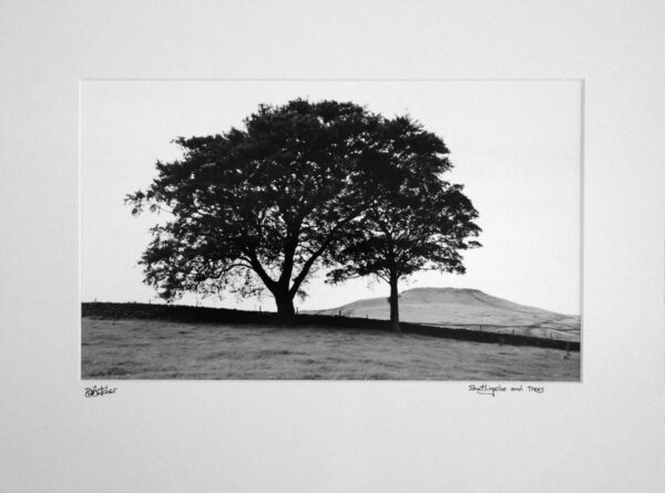 Shutlingsloe with trees in the foreground, Peak District between Buxton and Macclesfield