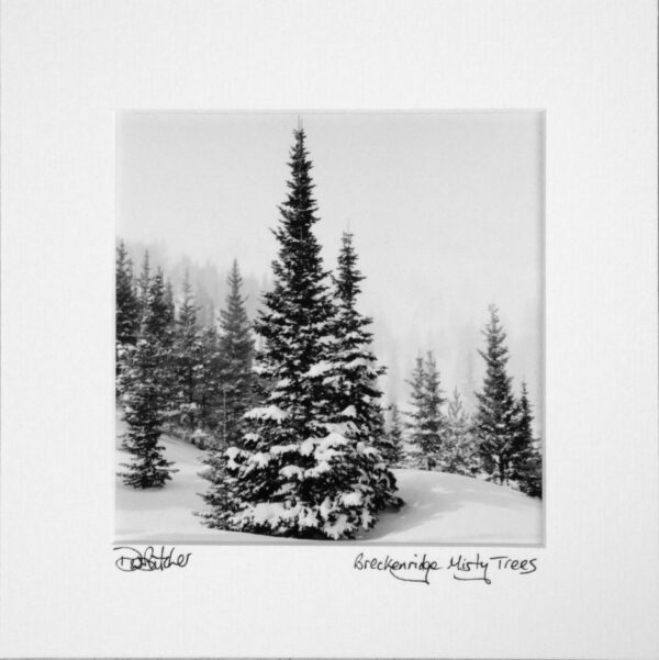 Misty snowy trees at Breckenridge ski area near Frisco, Colorado, USA