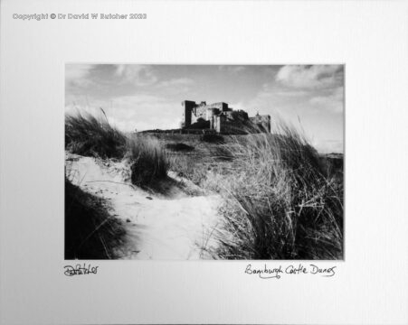 England, Northumberland Bamburgh Castle and sand dunes on the coast near Berwick