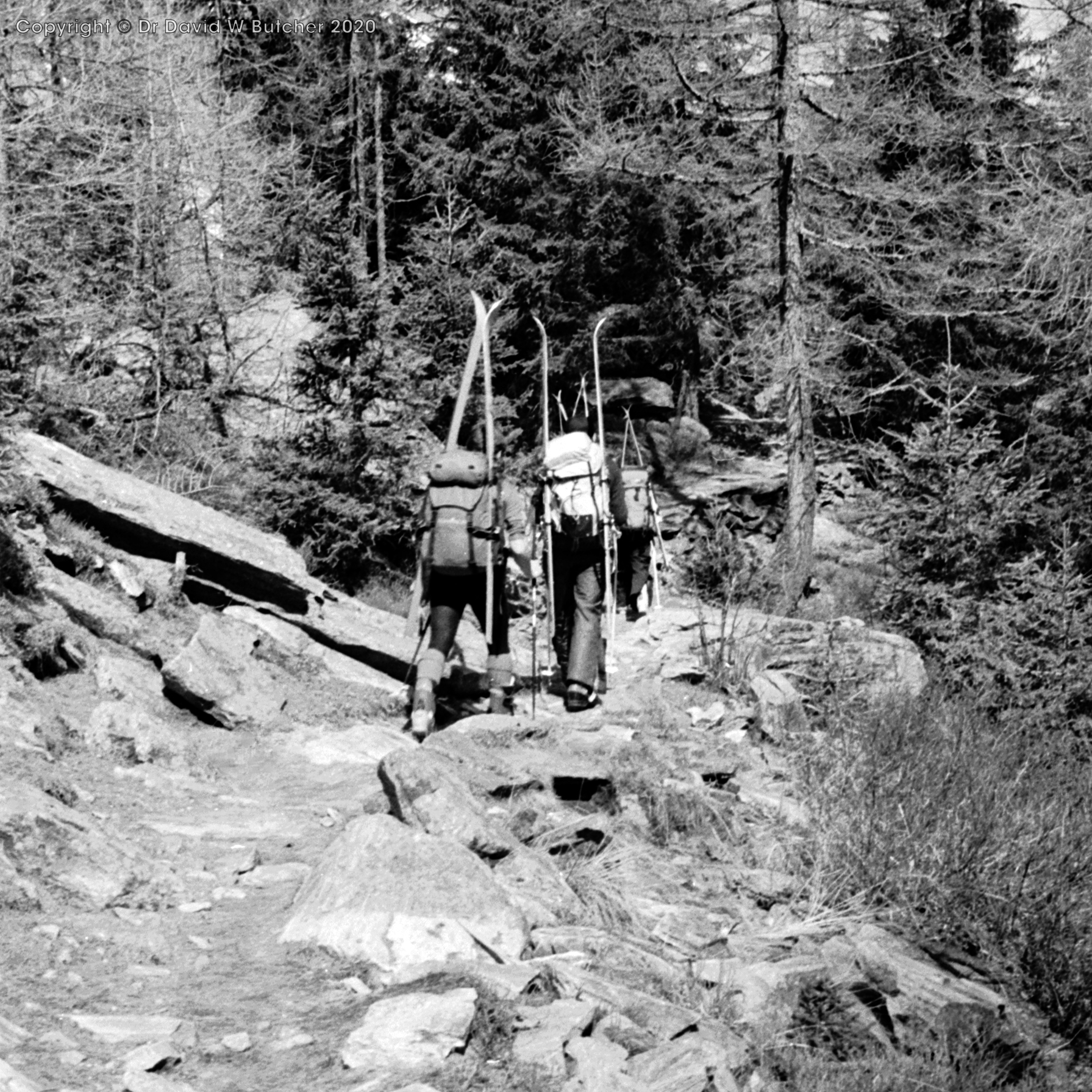 Walking out to Trient Village