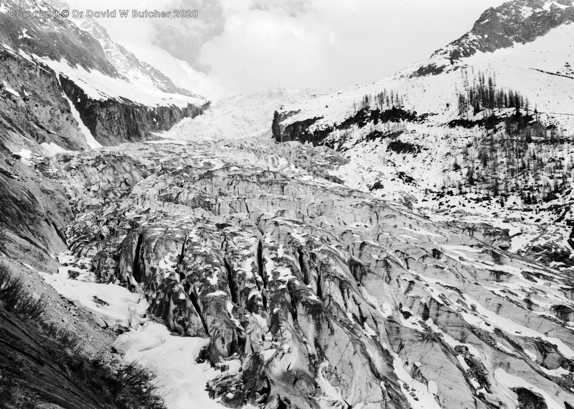 Lower Argentiere Glacier above Argentiere Village
